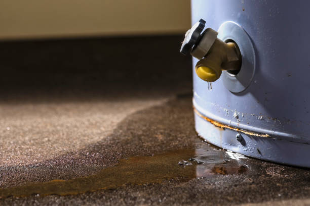Best Emergency water extraction  in Chestertown, MD