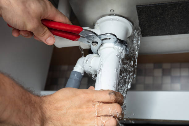 Water damage restoration mold remediation in MD