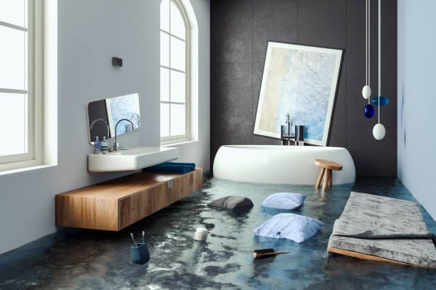 Best Mold removal after water damage  in Chestertown, MD