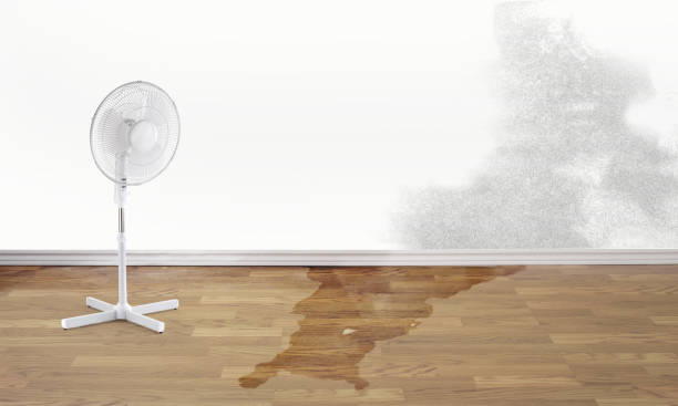 Best Commercial water damage restoration  in Chestertown, MD