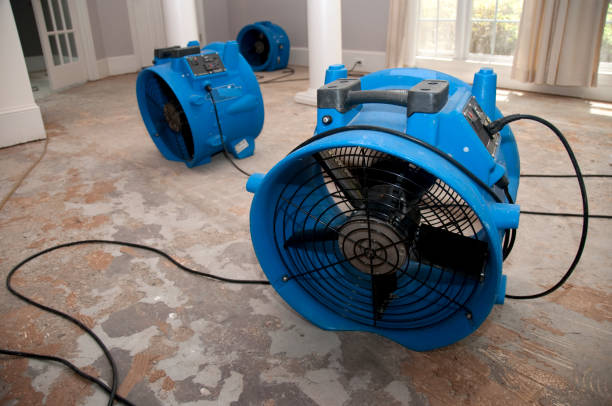 Best Residential water damage restoration  in Chestertown, MD