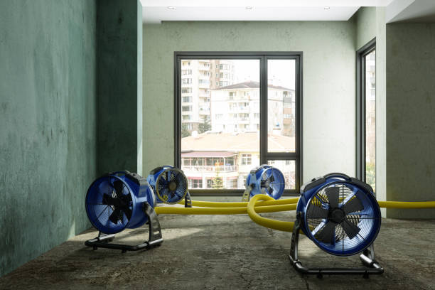Best Basement water damage restoration  in Chestertown, MD