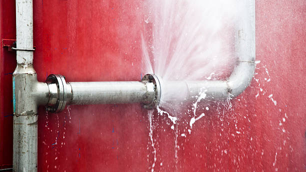 Best Mold removal after water damage  in Chestertown, MD